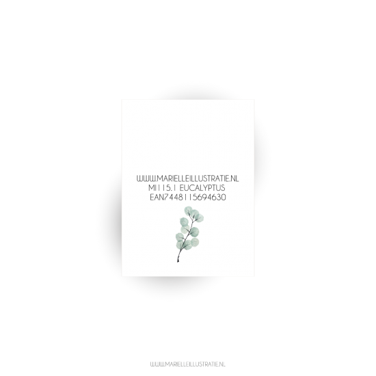 Mi1151 eucalyptus l achterzijde 60x80mm web 01