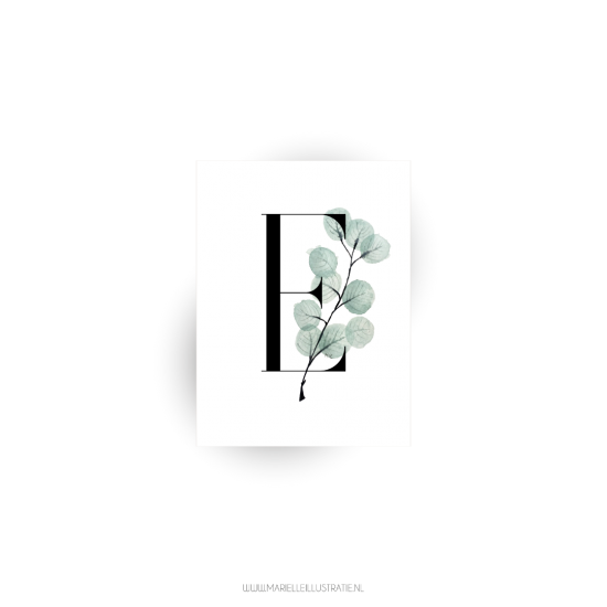 Mi1151 eucalyptus l voorzijde 60x80mm 01