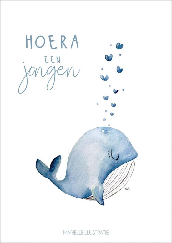 Mi153 hoera een jongen walvis mr 3