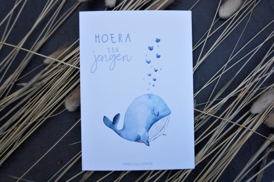 Mi153 hoera een jongen walvis