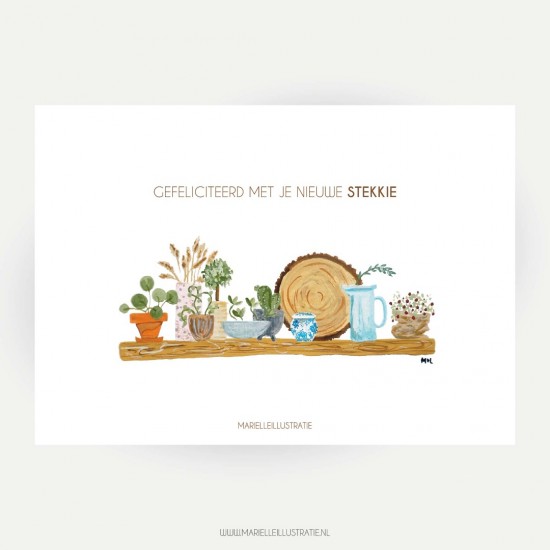 Mi166 stekkie l web v 01