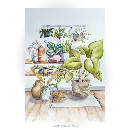 Mi189 plantenkamer   webshop kaart 10x15 en poster 01 0