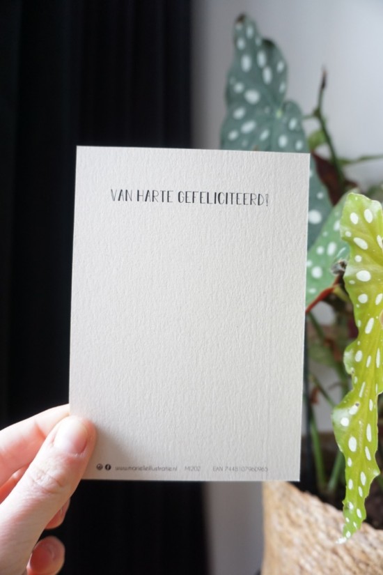 Mi202 verjaardag marielleillustratie 1