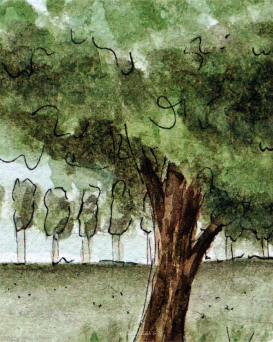 Mi283 fietsen   marielleillustratie 06