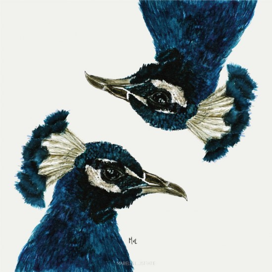 Mi288 pauw   marielleillustratie 06