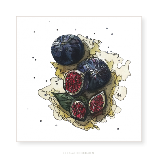 Mi327 vijgen   marielleillustratie 03