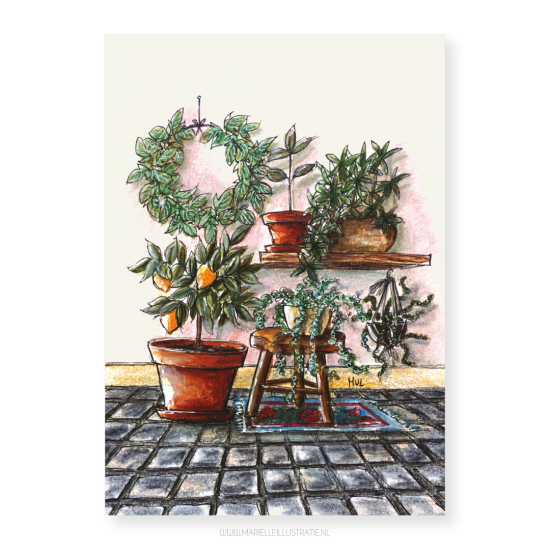 Mi335 plantenwand   marielleillustratie 03