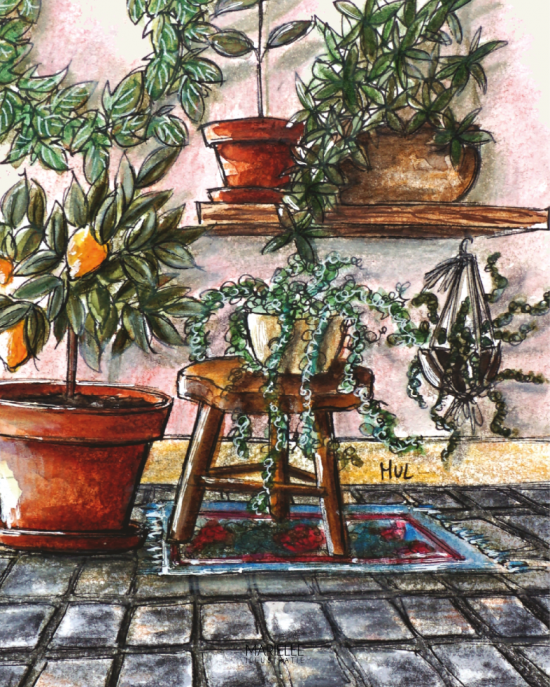 Mi335 plantenwand   marielleillustratie 06