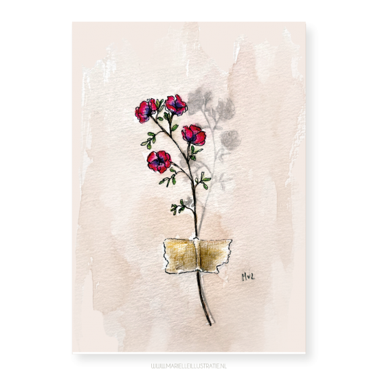 Mi441 muurbloem   marielleillustratie 03