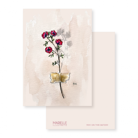 Mi441 muurbloem   marielleillustratie 07